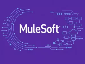 MuleSoft Tutorial